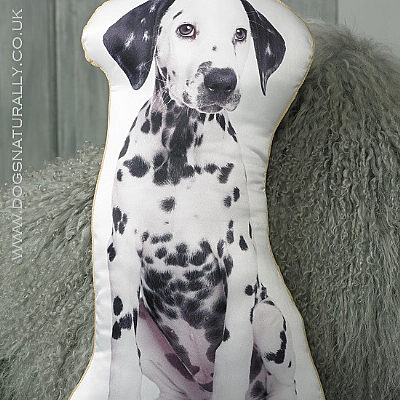Dalmatian Cushion